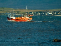 fishing-boat-islay-outdoor.jpg