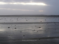 islay-loch-gruinart-winter-solstice.jpg