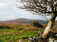 islay-near-loch-finlaggan.jpg