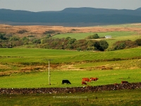 islay-view-from-glen-road.jpg