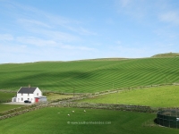 kilchiaran-farm-fields.jpg