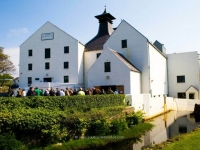 lagavulin-open-day.jpg