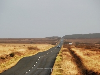 low-road-isle-of-islay.jpg