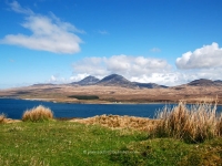 paps-and-sound-of-islay.jpg