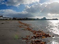 port-ellen-from-beach.jpg