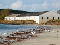 port-ellen-warehouses.jpg