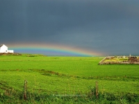 rainbow-nerabus.jpg