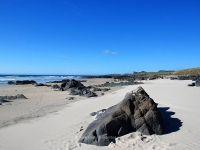 saligo-bay-looking-northwes.jpg