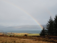 dsc_0308.jpg
