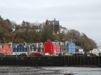 dsc_0312.jpg