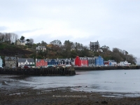 dsc_0323.jpg