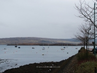 dsc_0328.jpg