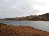 dsc_0335.jpg