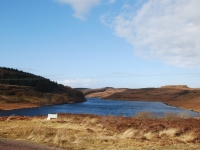 dsc_0336.jpg