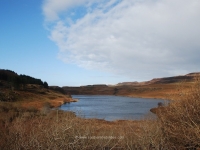 dsc_0337.jpg