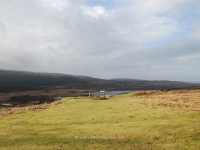dsc_0349.jpg