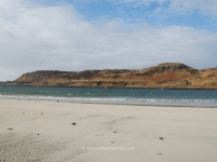 dsc_0356.jpg