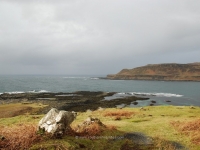 dsc_0384.jpg