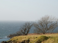 dsc_0389.jpg