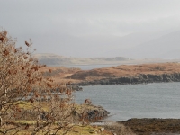 dsc_0392.jpg