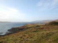 dsc_0399.jpg