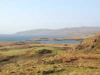 dsc_0401.jpg
