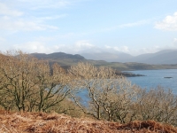 dsc_0402.jpg