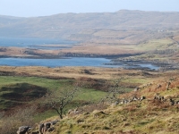 dsc_0404.jpg