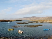 dsc_0420.jpg