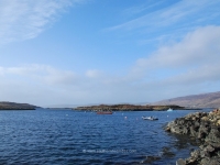 dsc_0425.jpg