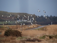 dsc_0443.jpg