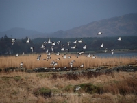 dsc_0444.jpg