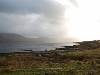 dsc_0446.jpg