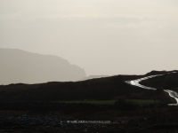 dsc_0448.jpg