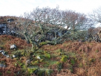 dsc_0452.jpg