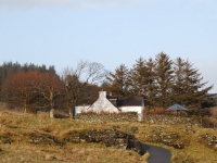 dsc_0455.jpg